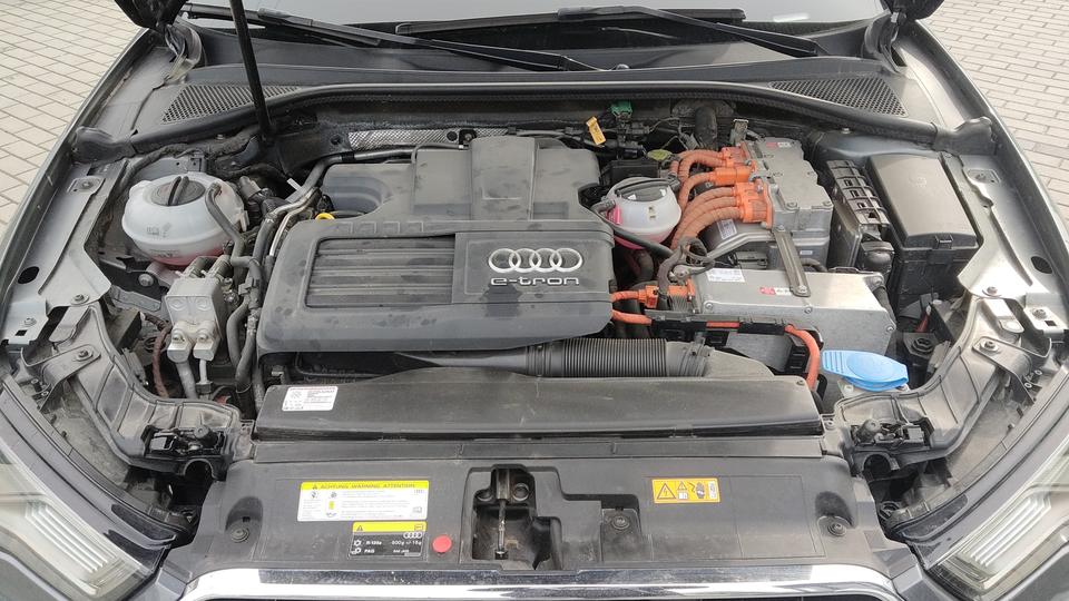 Audi-25