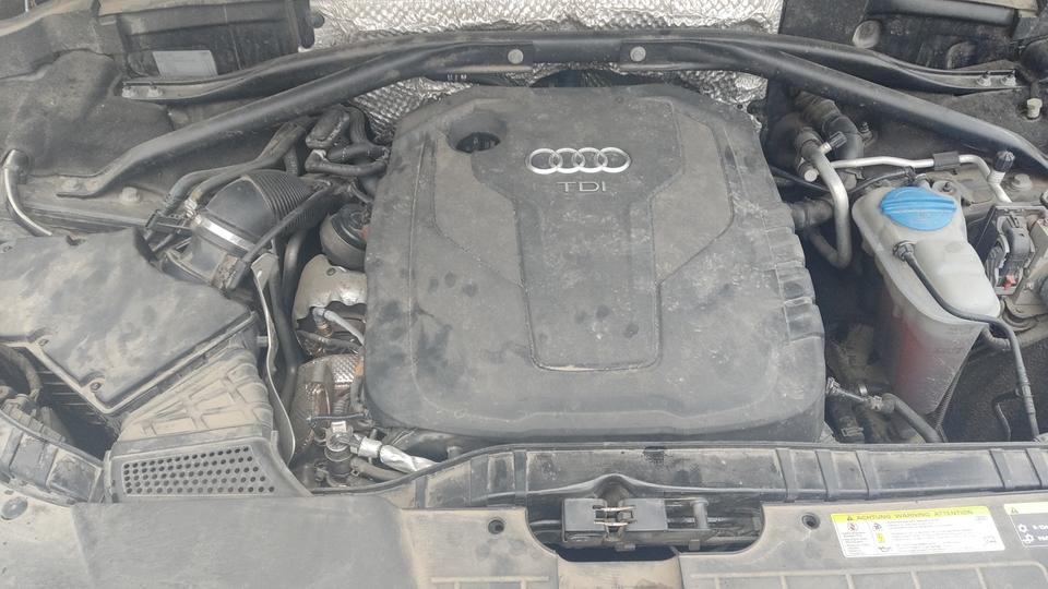 Audi-7